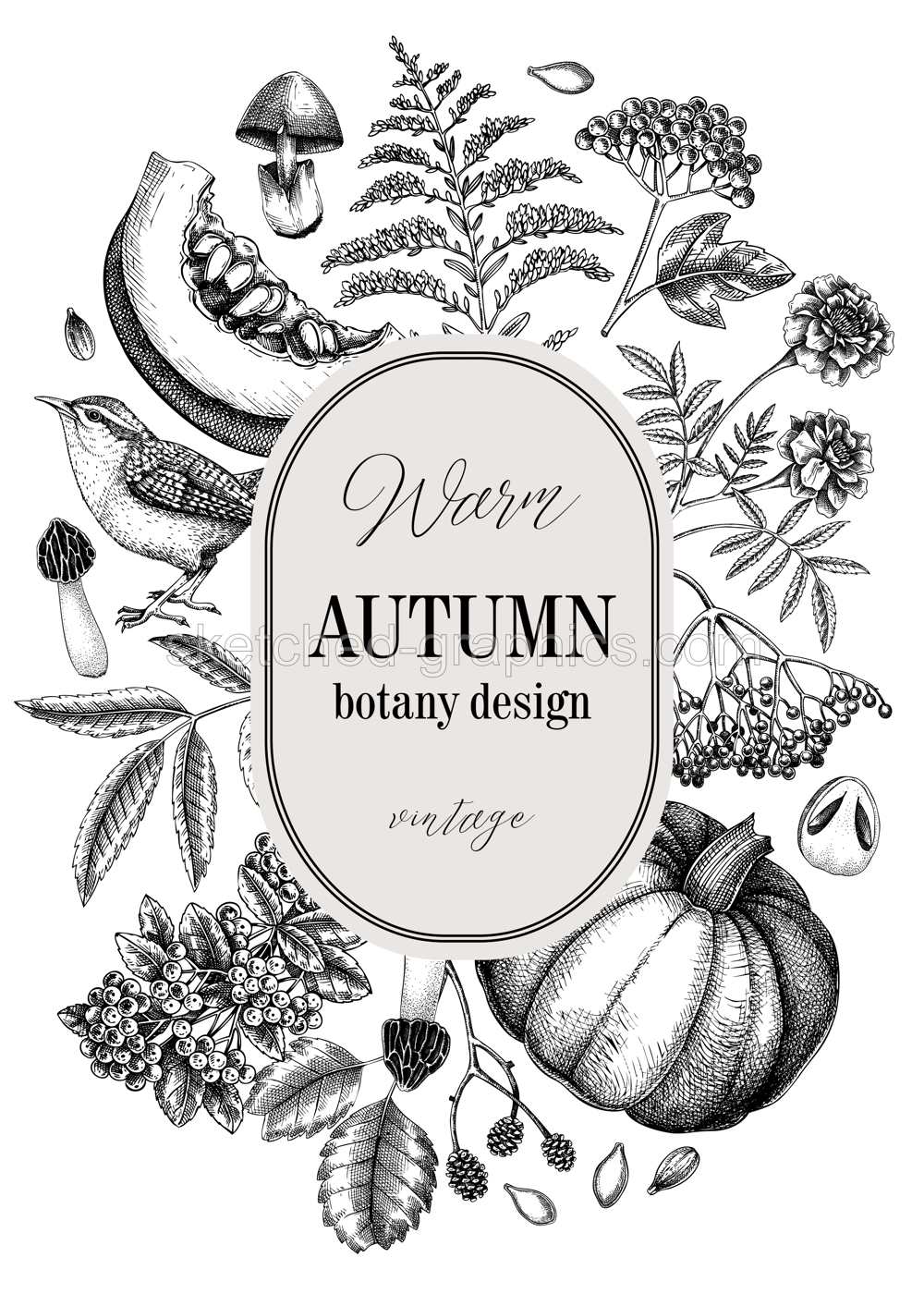 Vintage autumn card design. Thanksgiving background. Fall leaves, pumpkins, berries, mushrooms sketches. Hand-drawn vector illustration. NOT AI generated Illustration